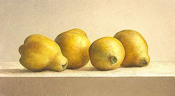 Stilleven kweeperen, 52x27cm, 2007.VERKOCHT 