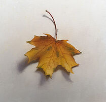 Stilleven met herfstblaadje, 24x24cm, 2021.