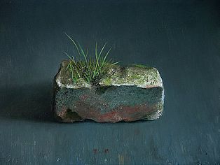 Stilleven met baksteenflora, 40x30cm, 2005. VERKOCHT